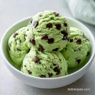Homemade Mint Chocolate Chip Ice Cream